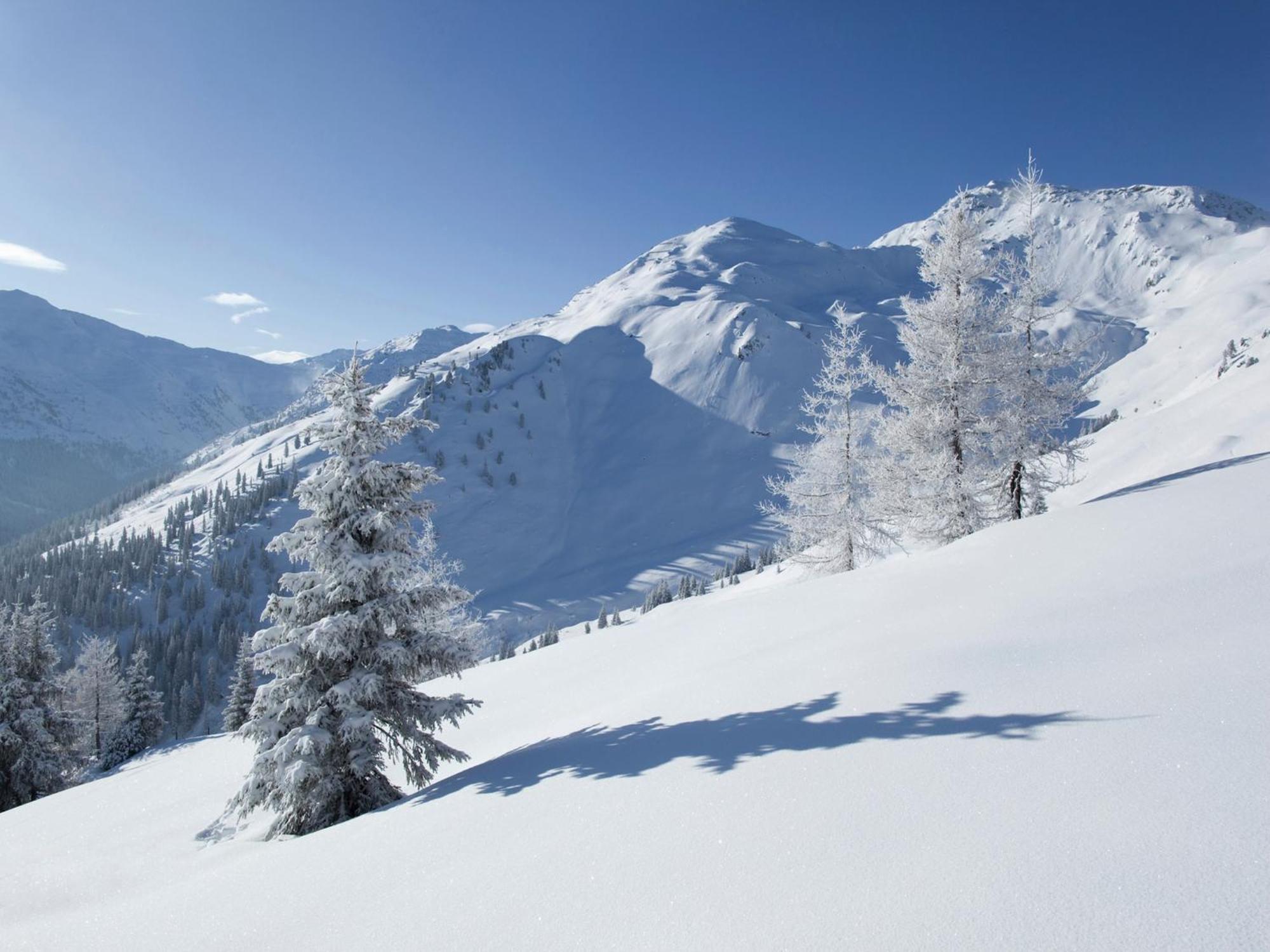 Attractive Holiday Home In Kaltenbach On The Ski Slope ستام المظهر الخارجي الصورة